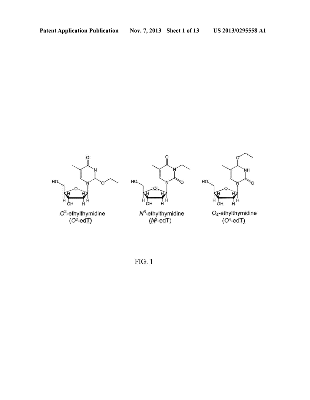 METHOD OF DETECTING ETHYLATED THYMIDINE DNA ADDUCTS - diagram, schematic, and image 02