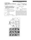 NANOPARTICLES IN THE SHAPE OF NANOSNOWMAN WITH A HEAD PART AND A BODY     PART, A PREPARATION METHOD THEREOF AND A DETECTION METHOD USING THE SAME diagram and image