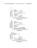 NANOPARTICLES IN THE SHAPE OF NANOSNOWMAN WITH A HEAD PART AND A BODY     PART, A PREPARATION METHOD THEREOF AND A DETECTION METHOD USING THE SAME diagram and image