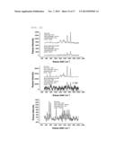 NANOPARTICLES IN THE SHAPE OF NANOSNOWMAN WITH A HEAD PART AND A BODY     PART, A PREPARATION METHOD THEREOF AND A DETECTION METHOD USING THE SAME diagram and image