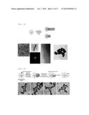 NANOPARTICLES IN THE SHAPE OF NANOSNOWMAN WITH A HEAD PART AND A BODY     PART, A PREPARATION METHOD THEREOF AND A DETECTION METHOD USING THE SAME diagram and image