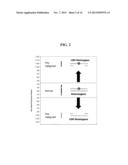 COMPOSITIONS AND METHODS FOR NUCLEIC ACID BASED DIAGNOSTIC ASSAYS diagram and image