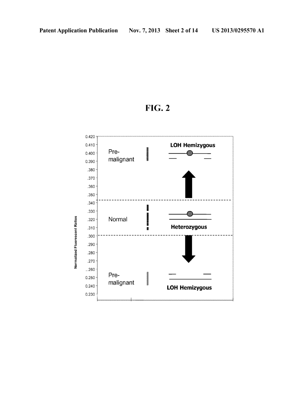 COMPOSITIONS AND METHODS FOR NUCLEIC ACID BASED DIAGNOSTIC ASSAYS - diagram, schematic, and image 03