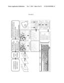 ORAL CANCER POINT OF CARE DIAGNOSTICS diagram and image