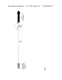 ACIDOTHERMUS CELLULOYTICUS XYLANASE diagram and image