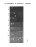 ACIDOTHERMUS CELLULOYTICUS XYLANASE diagram and image