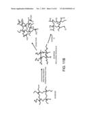 PROCESSING BIOMASS diagram and image