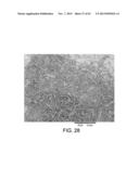 PROCESSING BIOMASS diagram and image