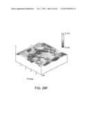 PROCESSING BIOMASS diagram and image