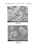 PROCESSING BIOMASS diagram and image