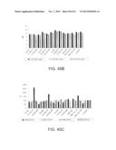 PROCESSING BIOMASS diagram and image