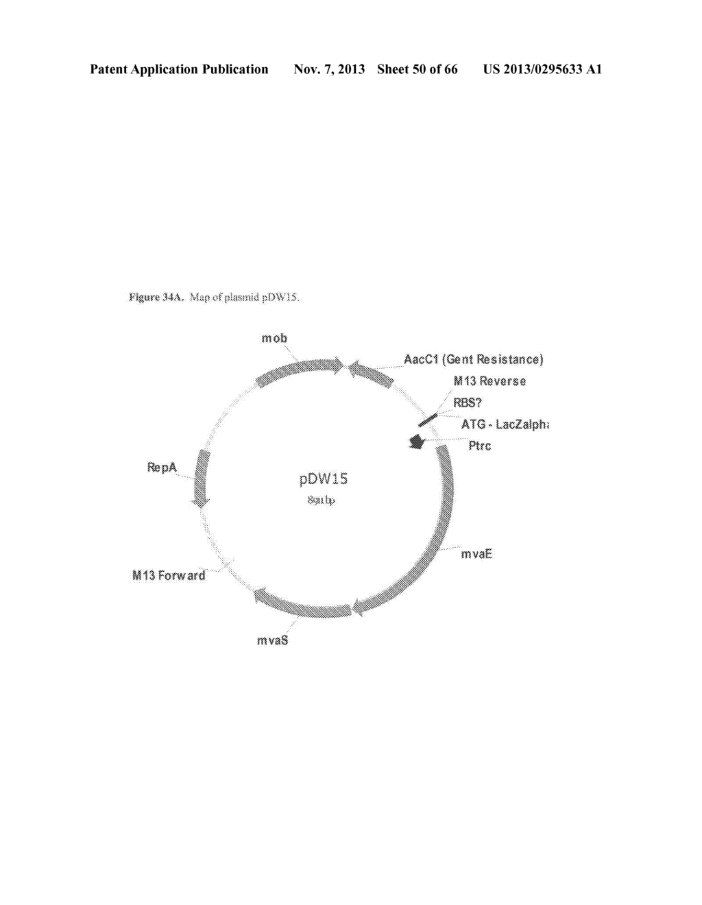 COMPOSITIONS AND METHODS OF PGL FOR THE INCREASED PRODUCTION OF ISOPRENE - diagram, schematic, and image 51