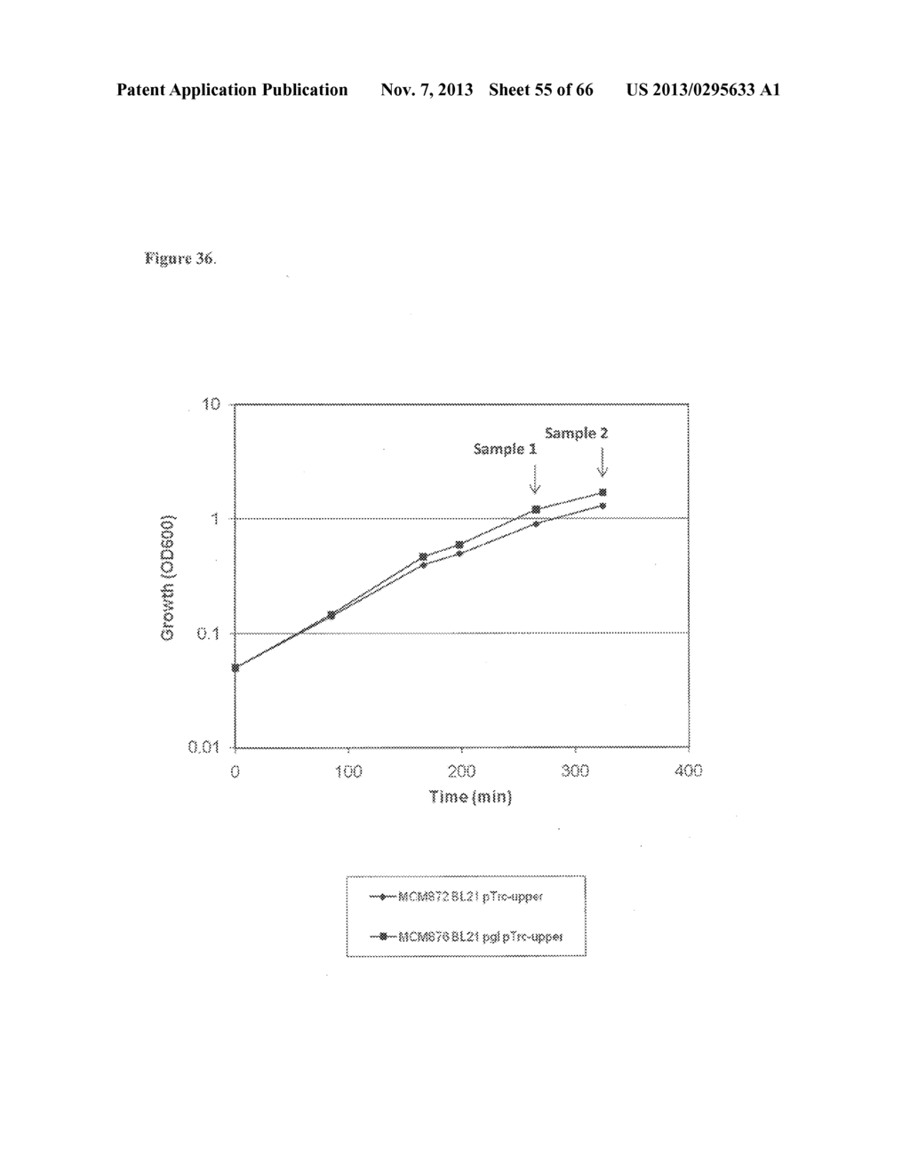 COMPOSITIONS AND METHODS OF PGL FOR THE INCREASED PRODUCTION OF ISOPRENE - diagram, schematic, and image 56