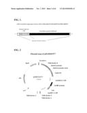 SYNTHETIC BRASSICA-DERIVED CHLOROPLAST TRANSIT PEPTIDES diagram and image