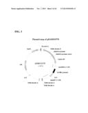 SYNTHETIC BRASSICA-DERIVED CHLOROPLAST TRANSIT PEPTIDES diagram and image