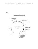 SYNTHETIC BRASSICA-DERIVED CHLOROPLAST TRANSIT PEPTIDES diagram and image