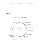 SYNTHETIC BRASSICA-DERIVED CHLOROPLAST TRANSIT PEPTIDES diagram and image