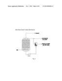 BIOREMEDIATION OF PERSISTENT ORGANIC POLLUTANTS USING THERMOPHILIC     BACTERIA diagram and image