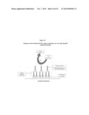 Anaplasma Translocated Substrate-1 (Ats-1) and Sero-detection of Anaplasma     phagocytophilum diagram and image