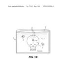 METHOD FOR DEBRISTLING ANIMAL SKIN diagram and image