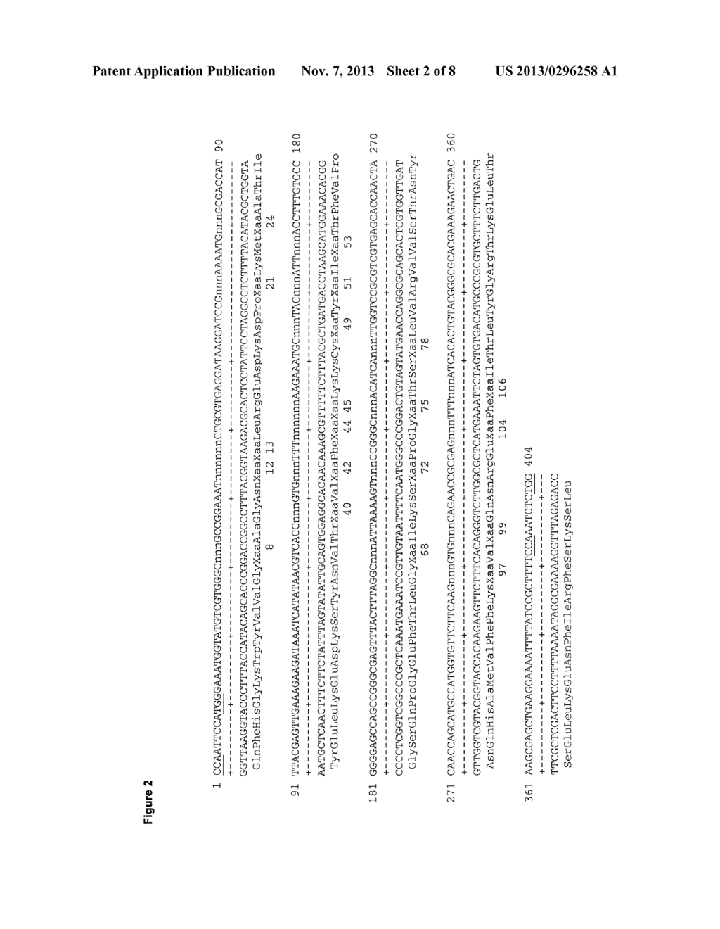 MUTEINS OF HUMAN LIPOCALIN 2 WITH AFFINITY FOR GLYPICAN-3 (GPC-3) - diagram, schematic, and image 03