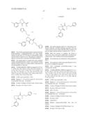 PYRROLIDINONES AS METAP-2 INHIBITORS diagram and image