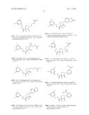 PYRROLIDINONES AS METAP-2 INHIBITORS diagram and image