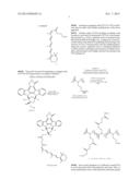 Design of Hydrolytically Releasable Prodrugs for Sustained Release     Nanoparticle Formulations diagram and image