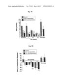 COMPOSITIONS AND METHODS FOR AMELIORATING RENAL DYSFUNCTION INDUCED BY     RENAL HYPOPERFUSION OR ACUTE KIDNEY INJURY diagram and image