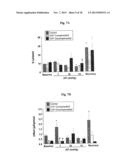 COMPOSITIONS AND METHODS FOR AMELIORATING RENAL DYSFUNCTION INDUCED BY     RENAL HYPOPERFUSION OR ACUTE KIDNEY INJURY diagram and image