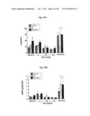 COMPOSITIONS AND METHODS FOR AMELIORATING RENAL DYSFUNCTION INDUCED BY     RENAL HYPOPERFUSION OR ACUTE KIDNEY INJURY diagram and image