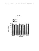 COMPOSITIONS AND METHODS FOR AMELIORATING RENAL DYSFUNCTION INDUCED BY     RENAL HYPOPERFUSION OR ACUTE KIDNEY INJURY diagram and image