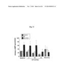 COMPOSITIONS AND METHODS FOR AMELIORATING RENAL DYSFUNCTION INDUCED BY     RENAL HYPOPERFUSION OR ACUTE KIDNEY INJURY diagram and image