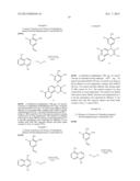 CHROMENE DERIVATIVES AND THEIR ANALOGA AS WNT PATHWAY ANTAGONISTS diagram and image