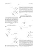 CHROMENE DERIVATIVES AND THEIR ANALOGA AS WNT PATHWAY ANTAGONISTS diagram and image