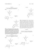 CHROMENE DERIVATIVES AND THEIR ANALOGA AS WNT PATHWAY ANTAGONISTS diagram and image