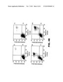 TARGETING EN2, PAX2, AND/OR DEFB1 FOR TREATMENT OF PROSTATE CONDITIONS diagram and image