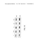 TARGETING EN2, PAX2, AND/OR DEFB1 FOR TREATMENT OF PROSTATE CONDITIONS diagram and image