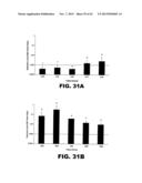 TARGETING EN2, PAX2, AND/OR DEFB1 FOR TREATMENT OF PROSTATE CONDITIONS diagram and image