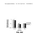 TARGETING EN2, PAX2, AND/OR DEFB1 FOR TREATMENT OF PROSTATE CONDITIONS diagram and image