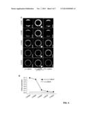 COMPRESSION INDUCED STIFFENING AND ALIGNMENT OF LIQUID CRYSTAL ELASTOMERS diagram and image