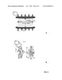 COMPRESSION INDUCED STIFFENING AND ALIGNMENT OF LIQUID CRYSTAL ELASTOMERS diagram and image