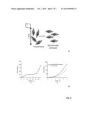 COMPRESSION INDUCED STIFFENING AND ALIGNMENT OF LIQUID CRYSTAL ELASTOMERS diagram and image