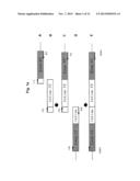 FUSION PROTEIN HAVING FACTOR IX ACTIVITY diagram and image