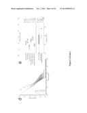 High-Throughput Immune Sequencing diagram and image