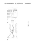 High-Throughput Immune Sequencing diagram and image