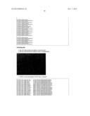 High-Throughput Immune Sequencing diagram and image