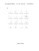 High-Throughput Immune Sequencing diagram and image