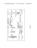 High-Throughput Immune Sequencing diagram and image