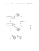 High-Throughput Immune Sequencing diagram and image